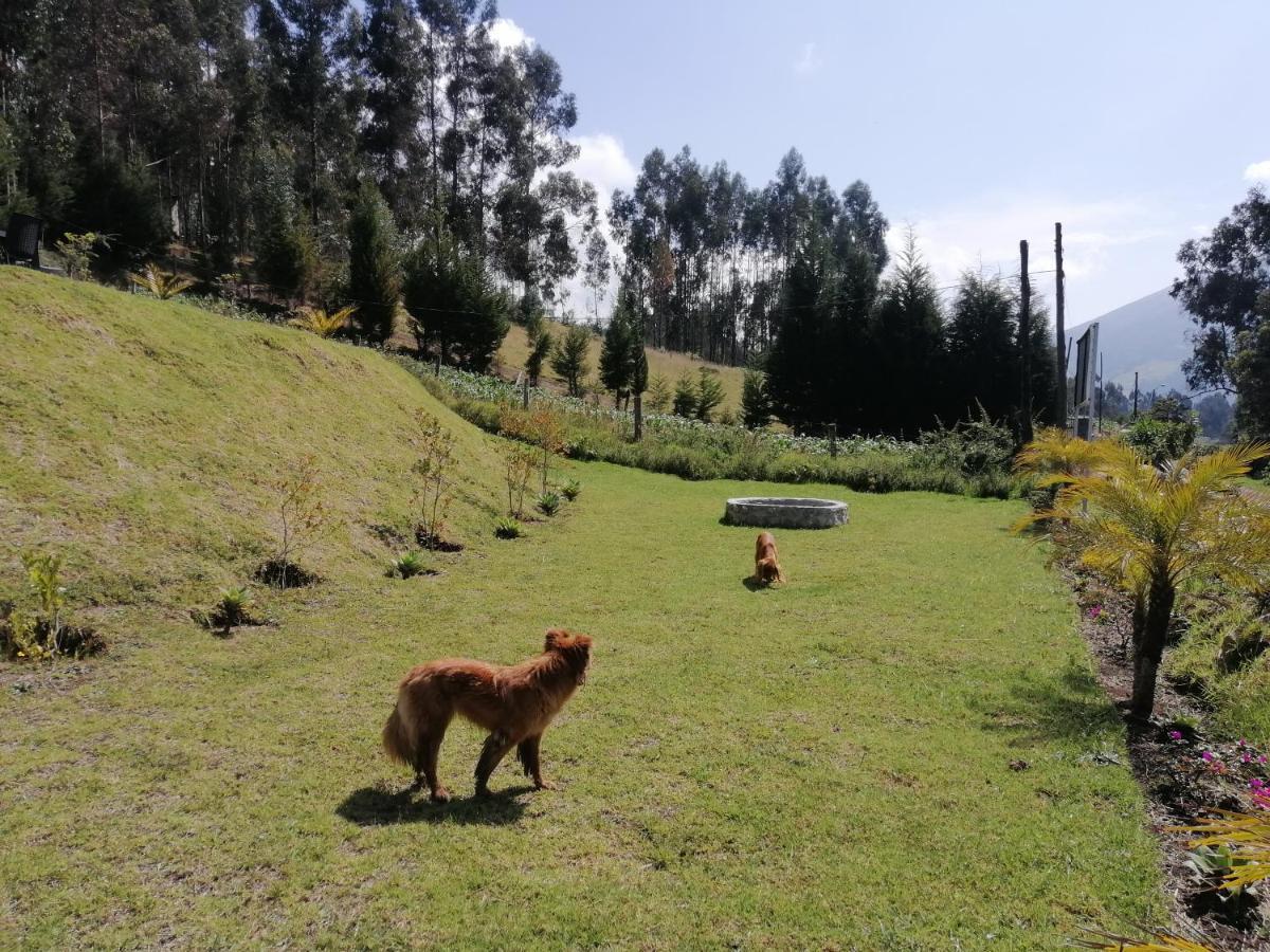 Hôtel Samay Toa à Otavalo Extérieur photo